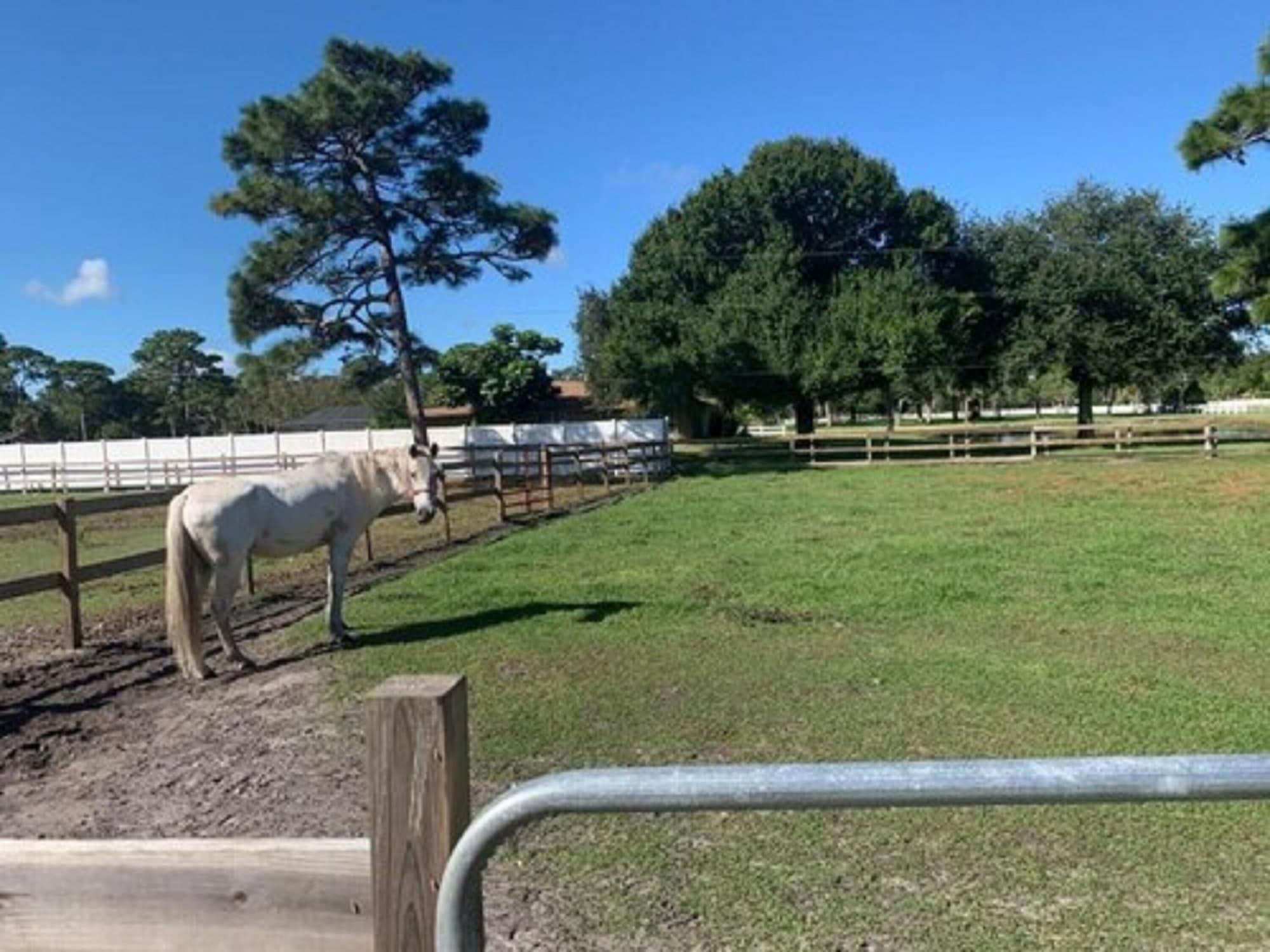 Oyo Family Ranch At Melbourne Fl Hotel Ngoại thất bức ảnh